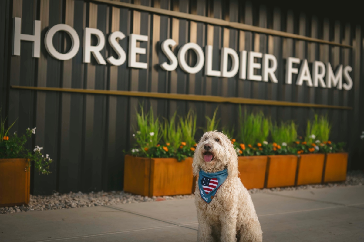Horse Soldier Bourbon distillery tour and tasting room at Horse Soldier Farms.